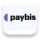 Paybis
